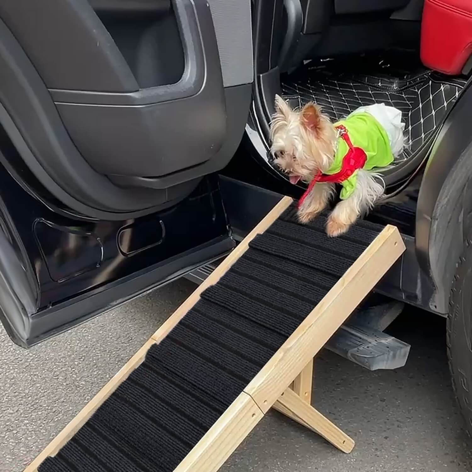 laat zien hoe de helling wordt gebruikt om een _hond in en uit een voertuig te helpen